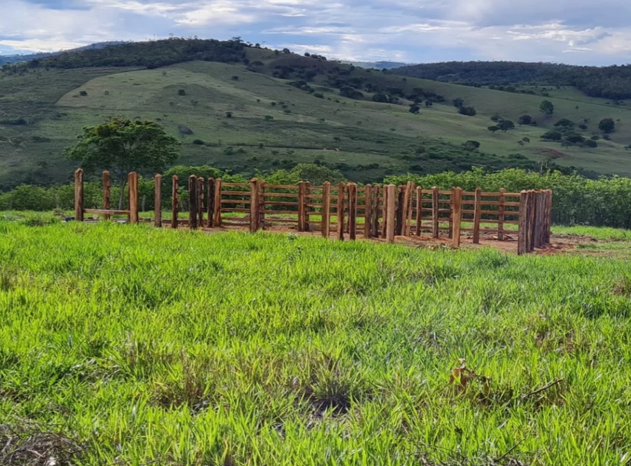 IDOSO MORRE APÓS ATAQUE DE ABELHAS NO SUDOESTE DA BAHIA; VÍTIMA ESTAVA EM TRATOR QUE ATINGIU COLMEIA